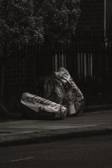 Catford Broadway guide to rubbish collection SE6