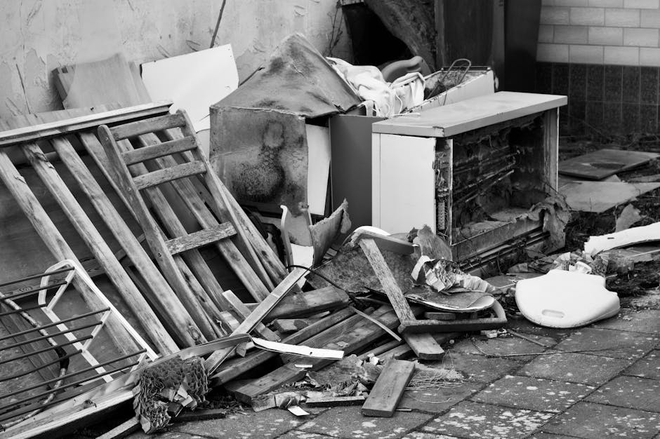 SE6 estate clearances expert rubbish removal near Catford Cat